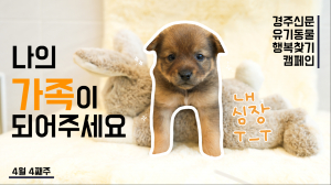 나의 가족이 되어주세요! [공고번호 : 경북-경주시-2023-0368]