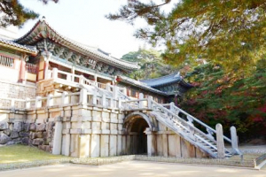 불국사 문화재관람료 무료로 전환