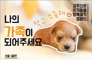 나의 가족이 되어주세요! [공고번호 : 경북-경주시-2023-0398]