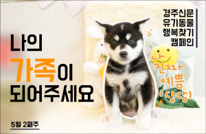 나의 가족이 되어주세요! [공고번호 : 경북-경주시-2023-0362]