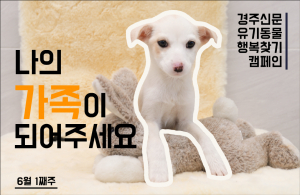 나의 가족이 되어주세요! [공고번호 : 경북-경주시-2023-0482]