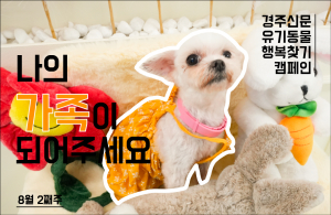 나의 가족이 되어주세요! [공고번호 : 경북-경주시-2023-0760]