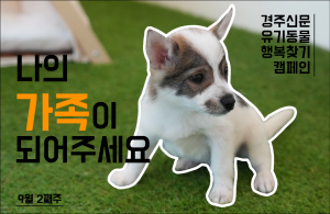 나의 가족이 되어주세요! [공고번호 : 경북-경주시-2023-0858]