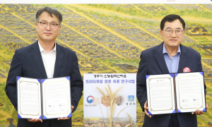 경주시, 국립식량과학원과 트리티케일 품종 연구