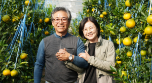 한라봉 재배로 소득 올리는 최규학 대표