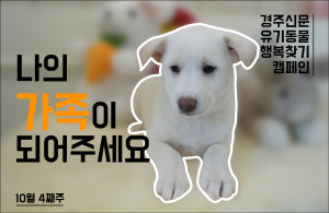 나의 가족이 되어주세요! [공고번호 : 경북-경주시-2023-1058]