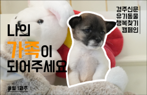 나의 가족이 되어주세요! [공고번호 : 경북-경주시-2023-1069]