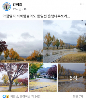 안정희 씨 통일전 은행길 등 아름다운 단풍들 올려