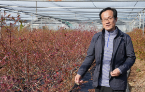냉천 블루베리농원 이종준 대표 “가장 재미있는 일이 농업이었습니다”