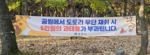 경주 황성공원 도토리 불법채집 방치 ‘주민 갈등’ 초래