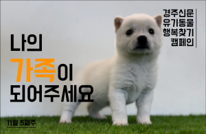 나의 가족이 되어주세요! [공고번호 : 경북-경주시-2023-1165]
