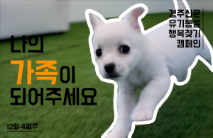 나의 가족이 되어주세요! [공고번호 : 경북-경주시-2023-1239]