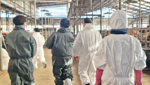 경주 21개 천년한우 농장, 신규 ‘HACCP 인증’