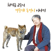 반려동물 인구 1500만 시대, 반려동물 문화 공존의 길을 묻다