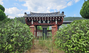 남편 위해 목숨 던진 열부와 어머니 정성으로 모신 효자 이야기
