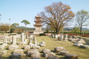 박시윤의 절터 기행[9] 경주 고선사 터(下)
