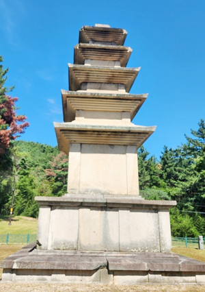 [전인식 시인의 인문학 산책] 윤정모 작가와 경주 외가 나원리