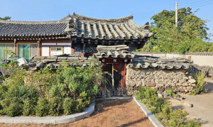 아버지 목숨 구하려 호랑이에 맞선 ‘효자와 소[牛]’