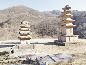 [전인식 시인의 경주인문학산책] 경주 국보탑 순례