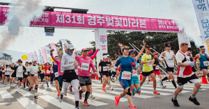 내년 경주벚꽃마라톤대회 참가자 접수 ‘조기마감’