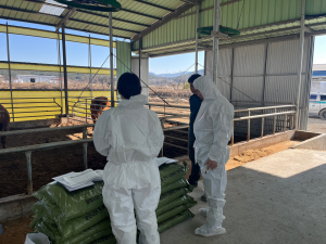 경주 천년한우 농가 10곳 ‘HACCP 신규 인증