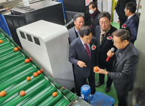 경주시 ‘토마토 AI 선별기’ 도입··· 가동식 열어