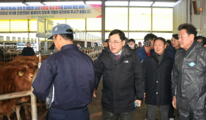 한우농가에 사료이자·도축비 7억원 지원
