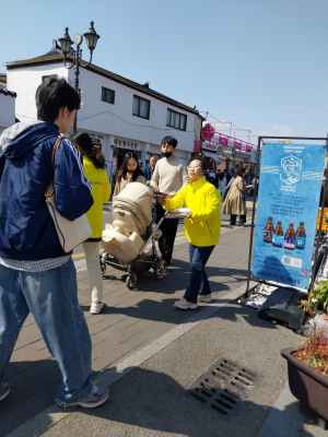 왕벚프로젝트2050, 벚꽃개화 시기 맞아 자생 왕벚나무알리기운동 펼쳐