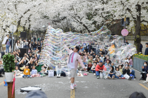 ‘경주 대릉원돌담길 축제’ 14만5000명 찾아 ‘성료’