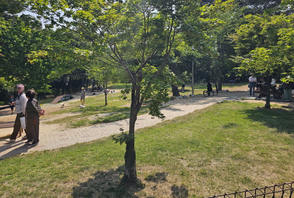 잔디와 나무 그늘, 의자가 배치된 댕댕동산 전경. 엄태권 기자
