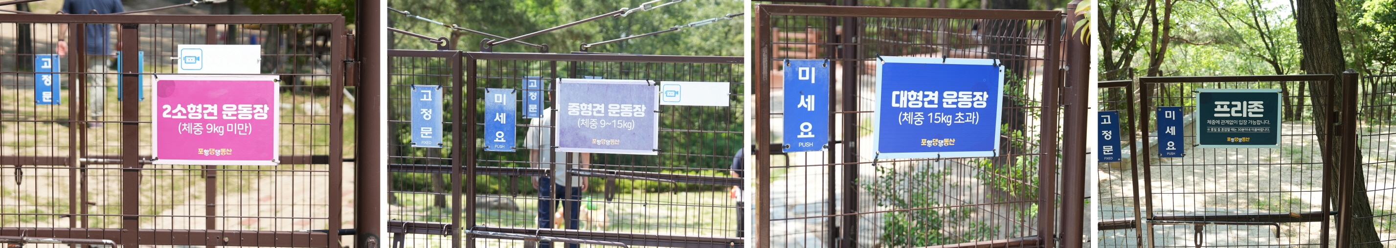 포항댕댕동산에는 소형·중형·대형견·프리존으로 구분해 운영하고 있다. 엄태권 기자