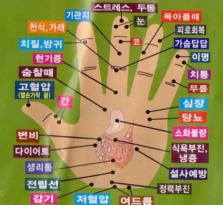 혈자리. <사진=석계1리 할머니 경로당>