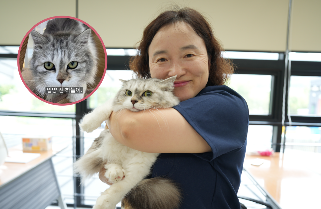 이선미 팀장, 하늘이. 김은경 기자
