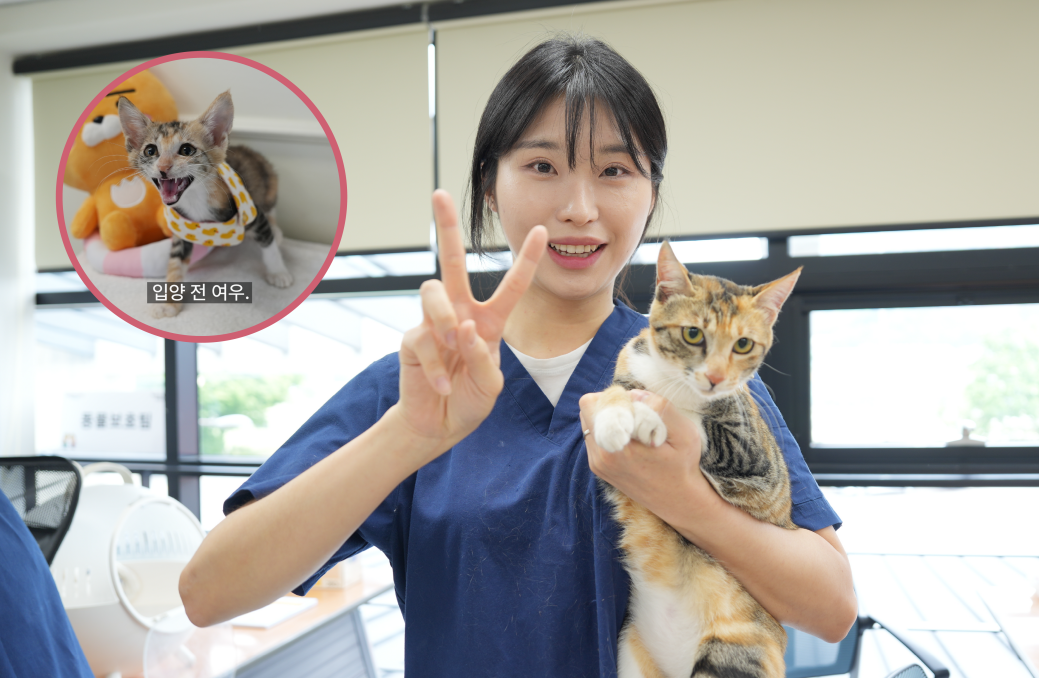 최예림 주무관, 여우. 김은경 기자