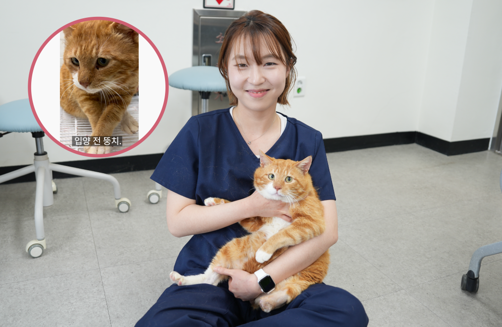 박정은 간사, 뚱치. 김은경 기자