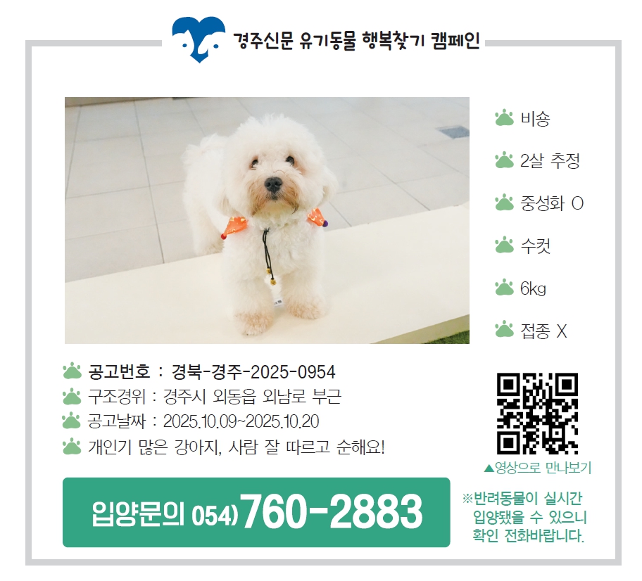 입양공고모습, 경주신문 제1704호(2025년 10월 17일 발행). <사진=경주신문DB>