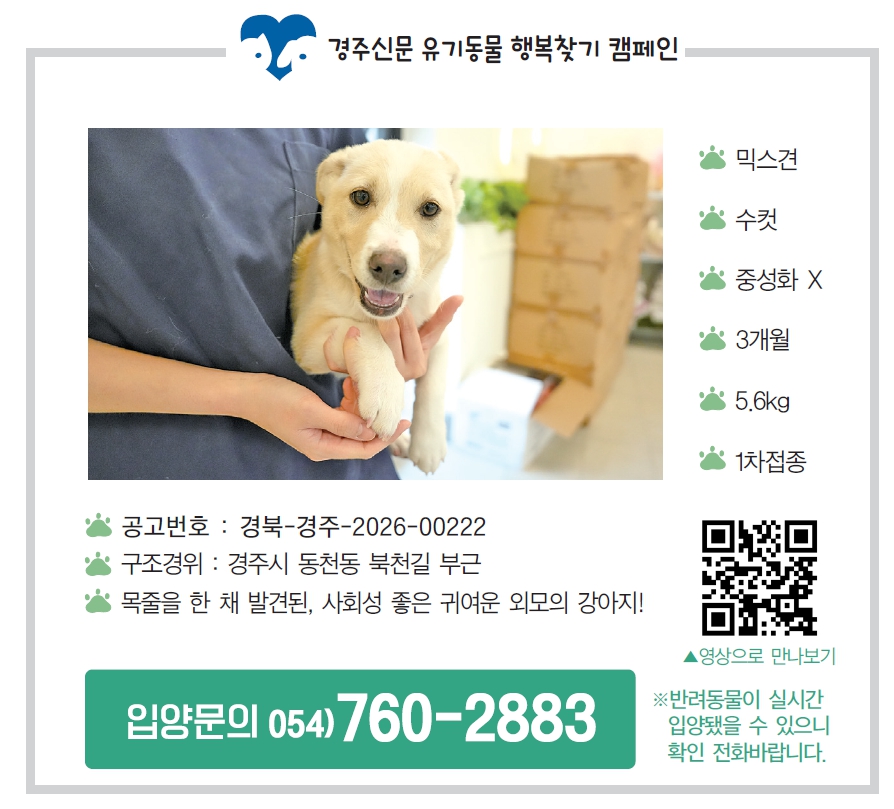 입양공고모습, 경주신문 제1724호(2026년 3월 27일 발행). <사진=경주신문DB>