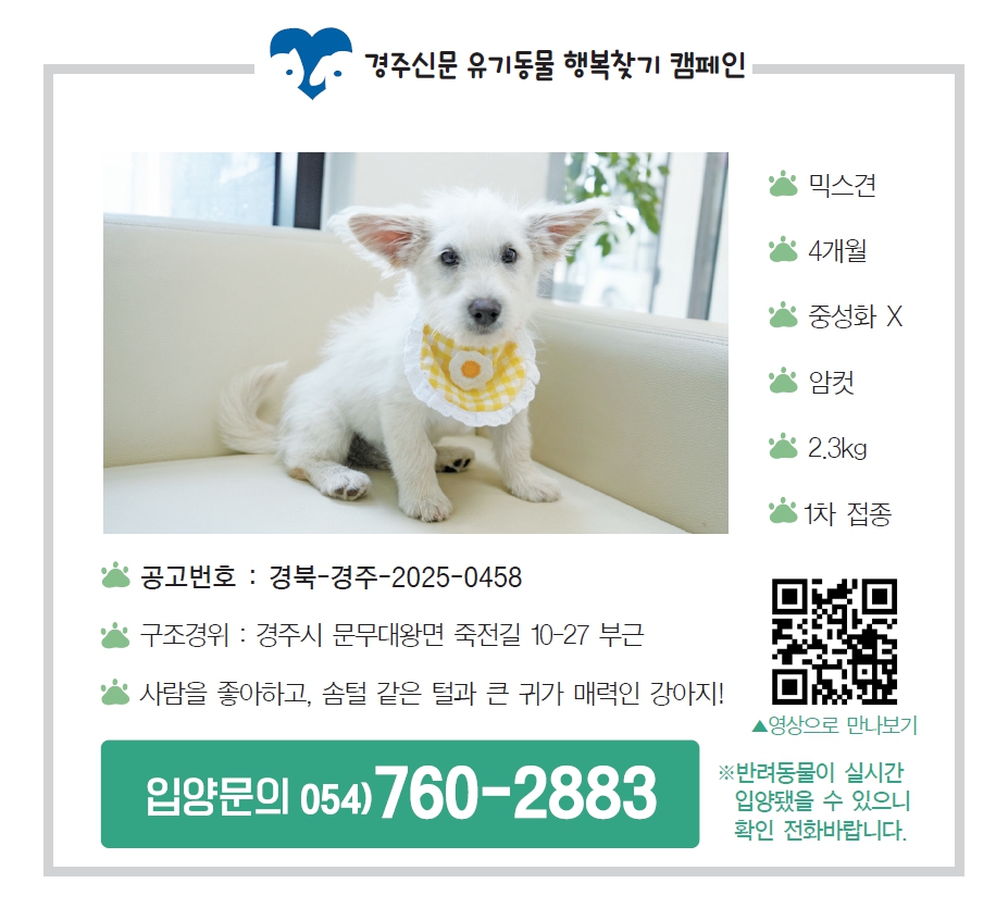 입양공고모습, 경주신문 제1686호(2025년 5월 30일 발행). <사진=경주신문DB>