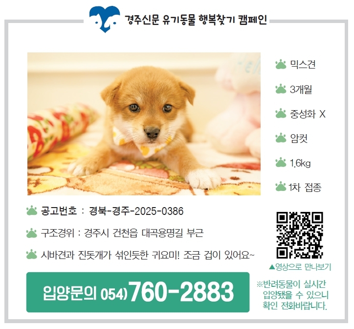 호떡이 입양공고모습, 경주신문 제1684호(2025년 5월 16일 발행). <사진=경주신문DB>