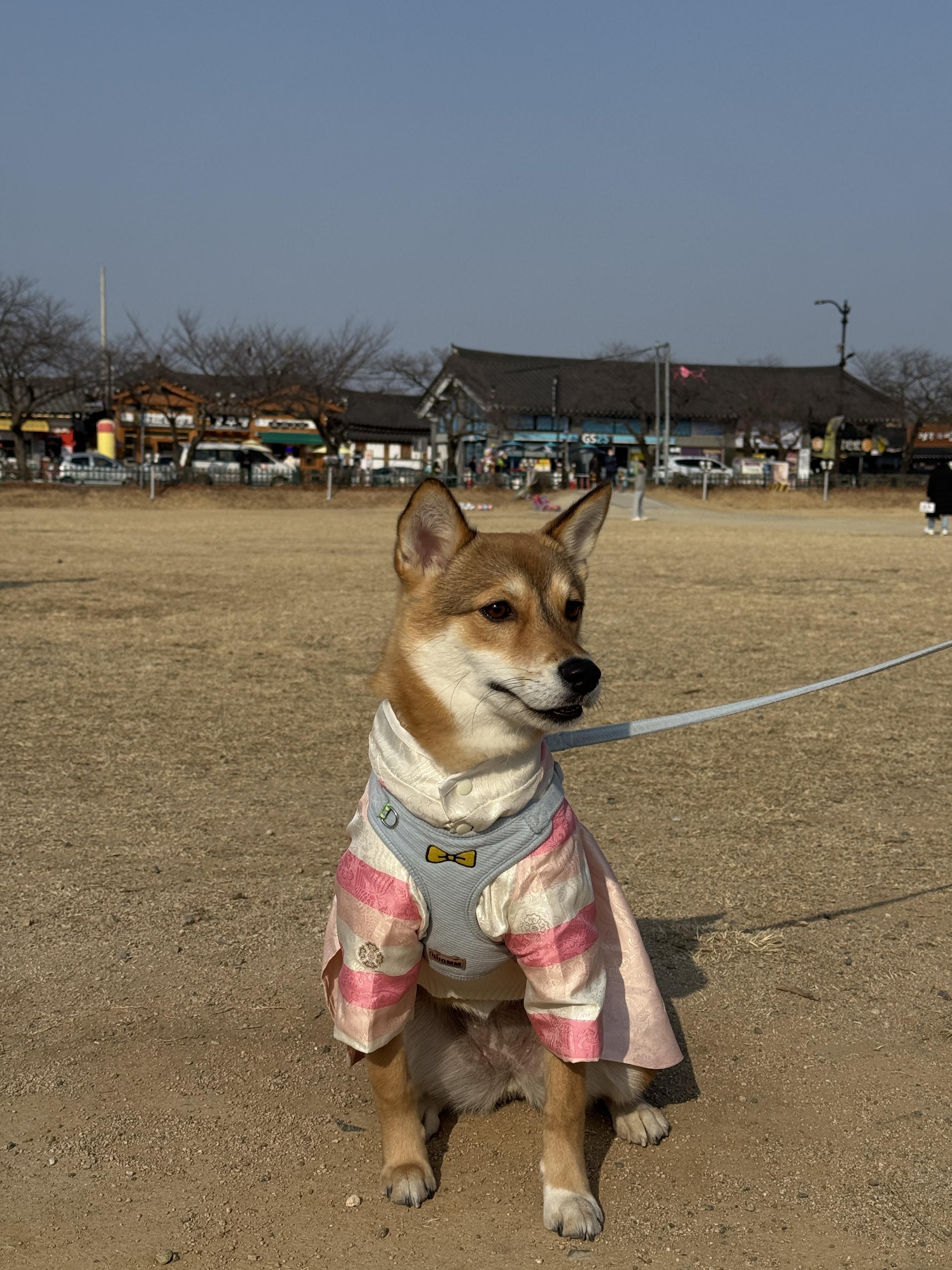 호떡이, 경주 리턴 여행으로 첨성대 앞에서 찍은 사진. <사진=배현지 제공>