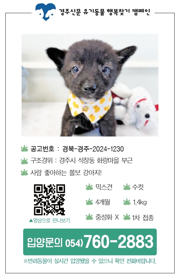 더덕이 입양공고모습, 경주신문 제1667호(2025년 1월 10일 발행). <사진=경주신문DB>