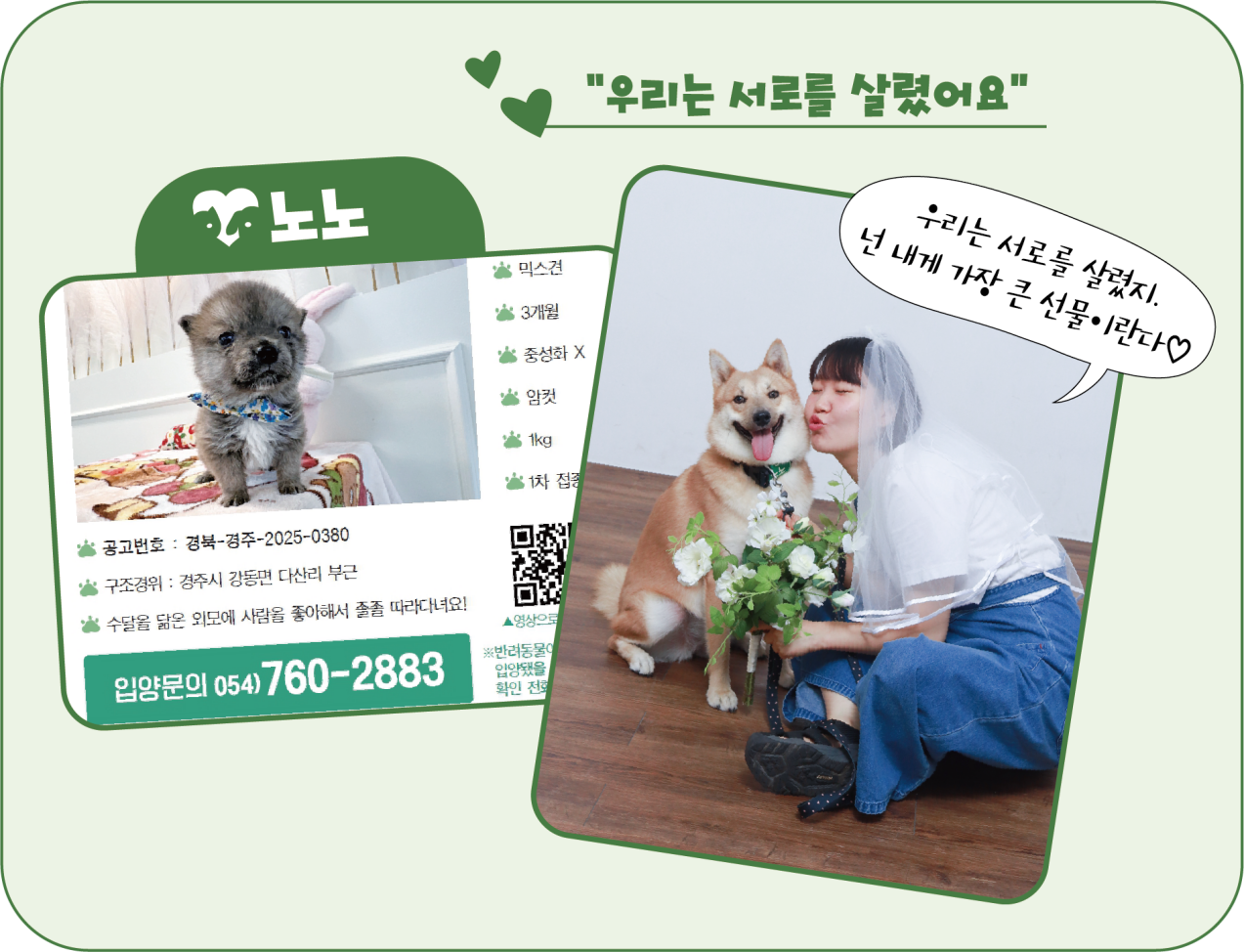 노노 입양공고모습(왼)과 보호자 이가은 씨와 노노의 현재 모습(오). <이미지=김은경 기자>