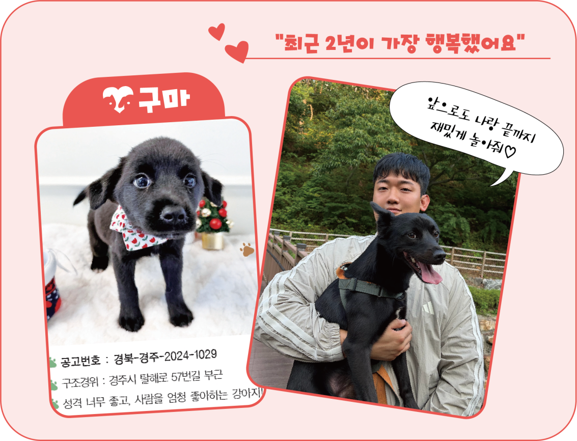 구마 입양공고모습(왼)과 보호자 유재원 씨와 구마의 현재 모습. <이미지=김은경 기자>