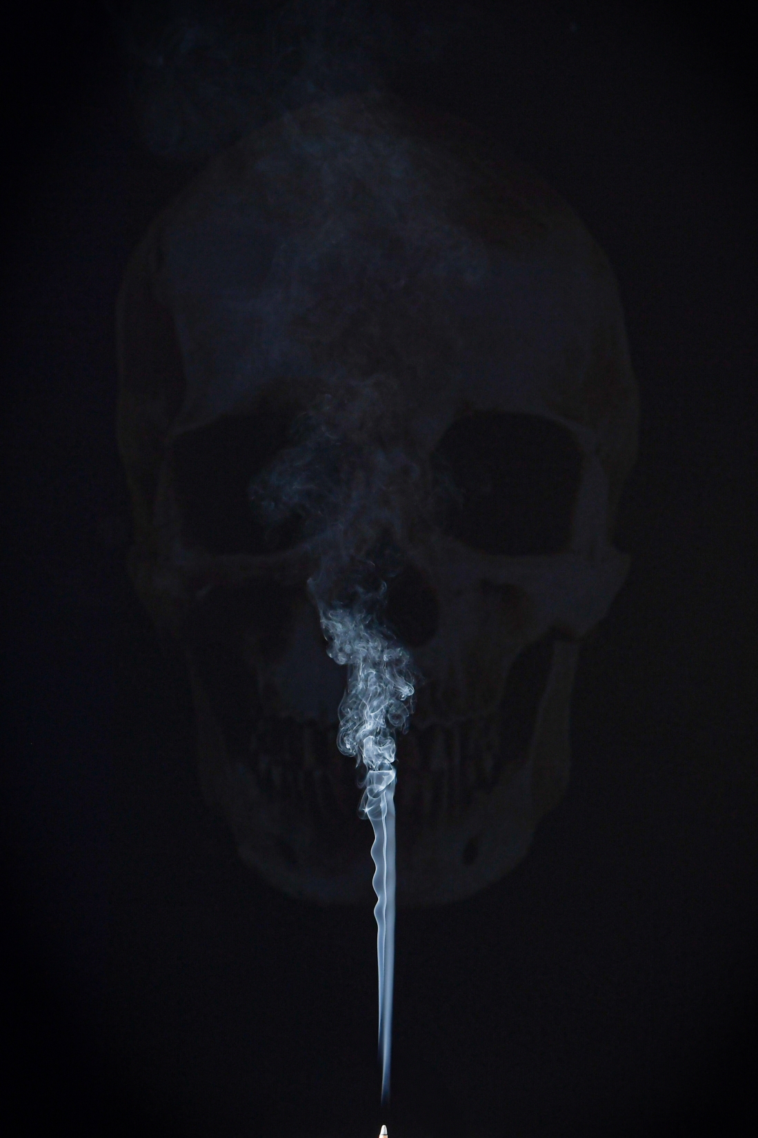 Ashes Remember, 2026, Digital Image, 2639×3958 px. <사진=김지용 제공>