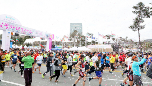 벚꽃축제 하이라이트 ‘벚꽃마라톤’을 가다!