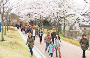 벚꽃과 함께 보문호반 달빛걷기 성황리 열려