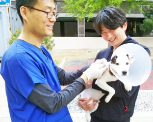 광견병 무료 예방접종 받으세요