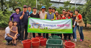 복지지원과, 건천 체리농가서 일손돕기 봉사활동