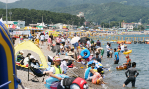 안전하고 쾌적한 경주해변으로 놀러오세요