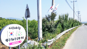 무궁화 꽃이 활짝 피었습니다